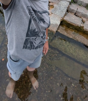 In die Donau pi.......